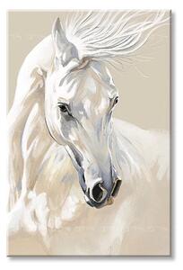 Obraz na plátně MAJESTY WHITE Pigeon - 40x60 cm