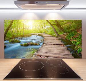 Panel do kuchyně Stezka v lese pksh-63778873