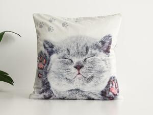 XPOSE® Mikroplyšový povlak na polštář KITTY (digitální tisk) 40x40 cm