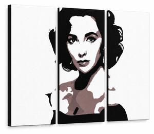 Ručně malovaný obraz POP Art Elizabeth Taylor 3 dílná et2 - 60x40 cm