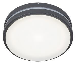 Rabalux 8847 - LED Venkovní nástěnné svítidlo HAMBURG LED/10W/230V IP44