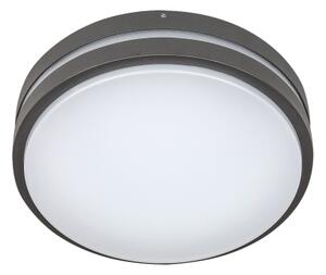 Rabalux 8847 - LED Venkovní nástěnné svítidlo HAMBURG LED/10W/230V IP44