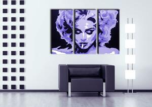 Ručně malovaný obraz POP Art MADONNA, 3dílný obraz 0002 ma - 60x40 cm