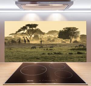 Panel do kuchyně Žirafy na savaně pksh-64472028