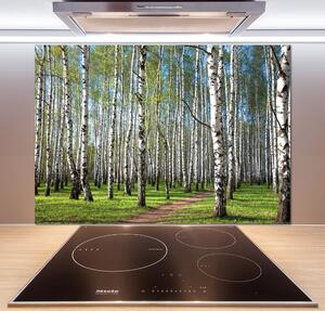 Dekorační panel sklo Břízový les pksh-64516023