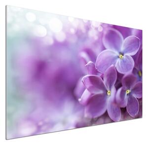 Dekorační panel sklo Květ bzu pksh-64853789
