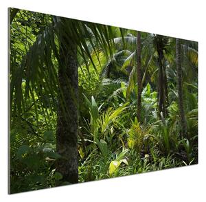 Panel do kuchyně Tropický les pksh-65033935