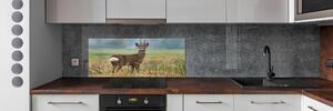 Skleněný panel do kuchyně Srna pksh-65048676