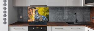 Panel do kuchyně Portrét tygra pksh-65114965