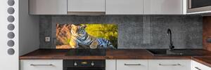 Panel do kuchyně Portrét tygra pksh-65114965
