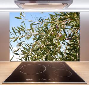 Panel do kuchyně Olivový strom pksh-65546648