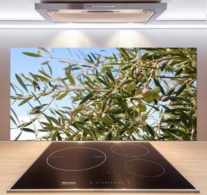 Panel do kuchyně Olivový strom pksh-65546648