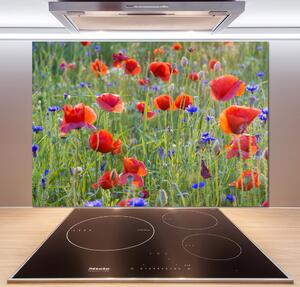 Dekorační panel sklo Plolní květiny pksh-65958845
