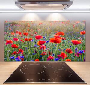 Dekorační panel sklo Plolní květiny pksh-65959167