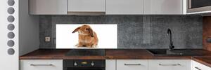 Dekorační panel sklo Červený králík pksh-65984756