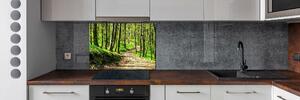 Panel do kuchyně Stezka v lese pksh-66127033