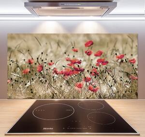 Skleněný panel do kuchyně Máky pksh-66291805