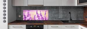 Skleněný panel do kuchyně Levandule pksh-66699141