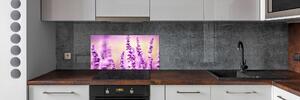 Skleněný panel do kuchyně Levandule pksh-66699141