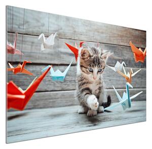 Panel lacobel Kočka ptáci z papíru pksh-66724934