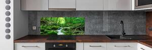 Panel do kuchyně Pramen v lese pksh-66843230