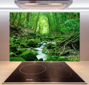 Panel do kuchyně Pramen v lese pksh-66843230