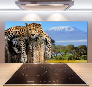 Panel do kuchyně Leopart na kmeni pksh-66888484