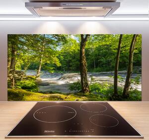Panel do kuchyně Řeka v lese pksh-66915556