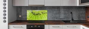 Skleněný panel do kuchyně Kiwi pksh-67162624