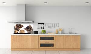 Panel do kuchyně Domácí zvířata pksh-67306538
