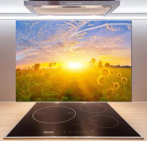 Panel do kuchyně Pole slunečníků pksh-67337817