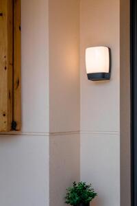 POL nástěnná lampa, tmavě šedá - FARO