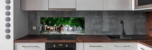 Panel do kuchyně Koně ve cvalu pksh-67489944