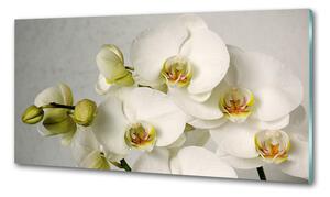 Panel do kuchyně Bílá orchidej pksh-67521473