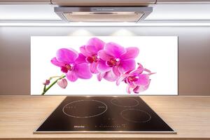 Panel do kuchyně Růžová orchidej pksh-67673367