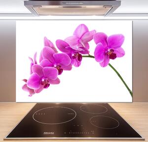 Panel do kuchyně Růžová orchidej pksh-67691978