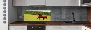 Dekorační panel sklo Kůň na louce pksh-68119926