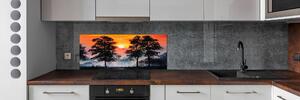 Panel do kuchyně Západ slunce les pksh-68195364