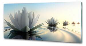Dekorační panel sklo Květ lotosu pksh-68293663