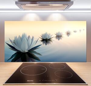 Panel do kuchyně Květiny lotosu pksh-68298321