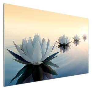 Panel do kuchyně Květiny lotosu pksh-68298321