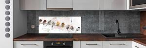 Panel do kuchyně Ptáci na větvi pksh-68365798