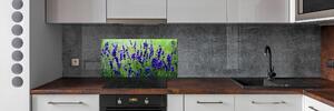 Skleněný panel do kuchyně Levandule pksh-68986983