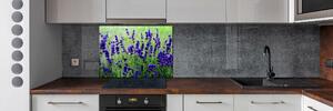 Skleněný panel do kuchyně Levandule pksh-68986983