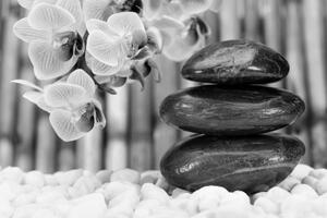 Fototapeta japonská Zen zahrada černobílá - 150x100 cm