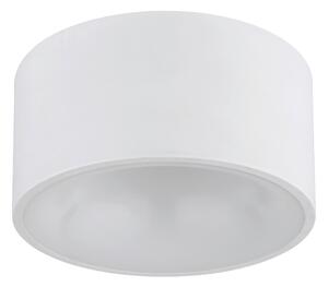STROPNÍ LED SVÍTIDLO, 15/7,5 cm - Stropní svítidla