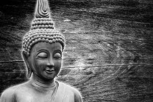 Tapeta socha Budhy černobílá - 300x200 cm
