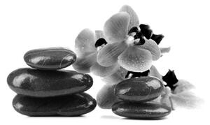 Tapeta orchidej a černobílé kameny - 300x200 cm