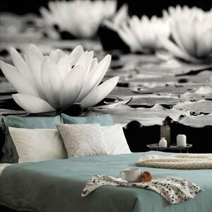 Tapeta lotosový květ černobílý - 300x200 cm