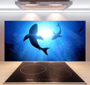 Dekorační panel sklo Dva žraloci pksh-69178156